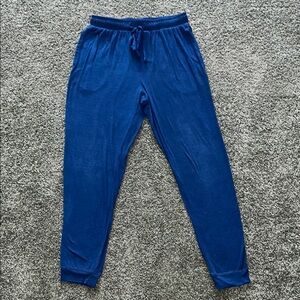 Sonoma Goods for Life Dark Blue Sleep Joggers – Size Small
